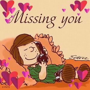 Meet your Posher, Dorothy